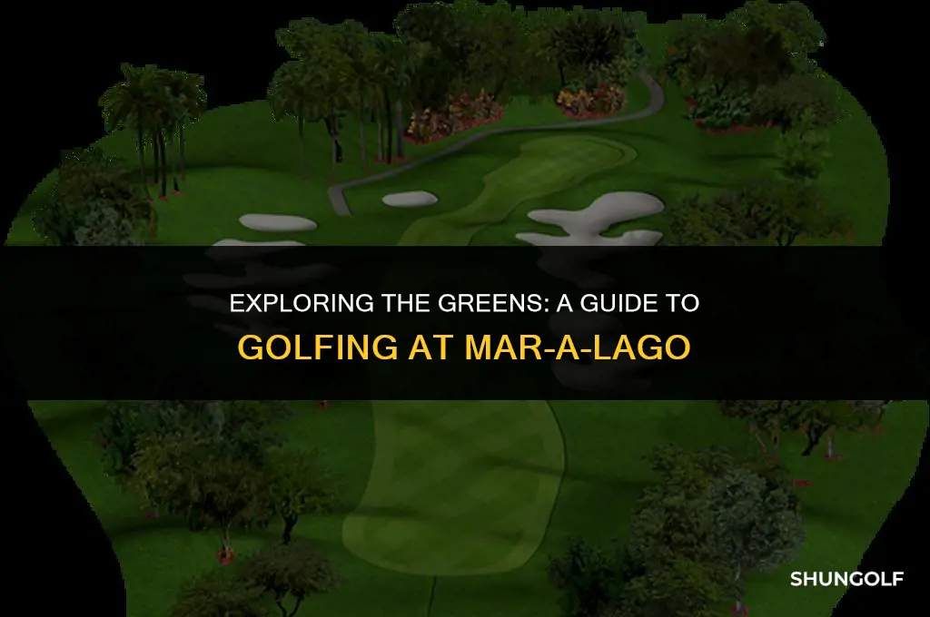 how much to golf at mar a lago
