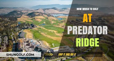 Exploring the Greens: A Guide to Golfing at Predator Ridge