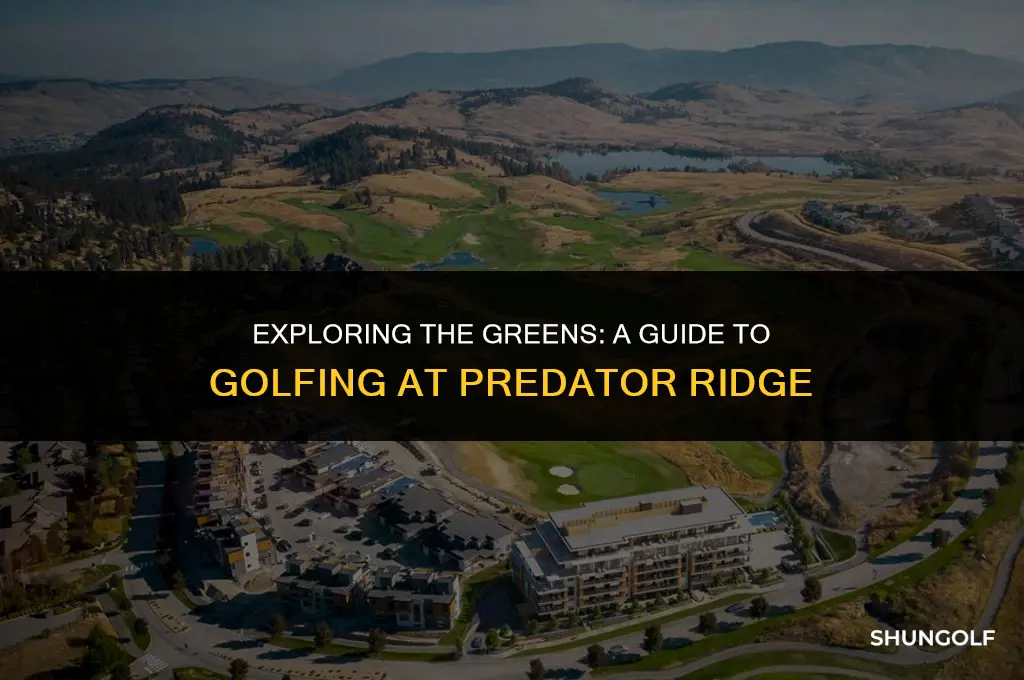 how much to golf at predator ridge