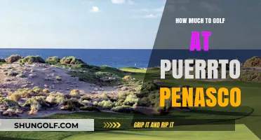 Exploring the Greens: A Guide to Golfing in Puerto Peñasco