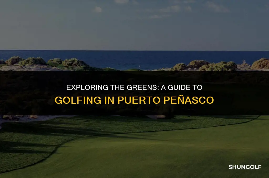 how much to golf at puerrto penasco