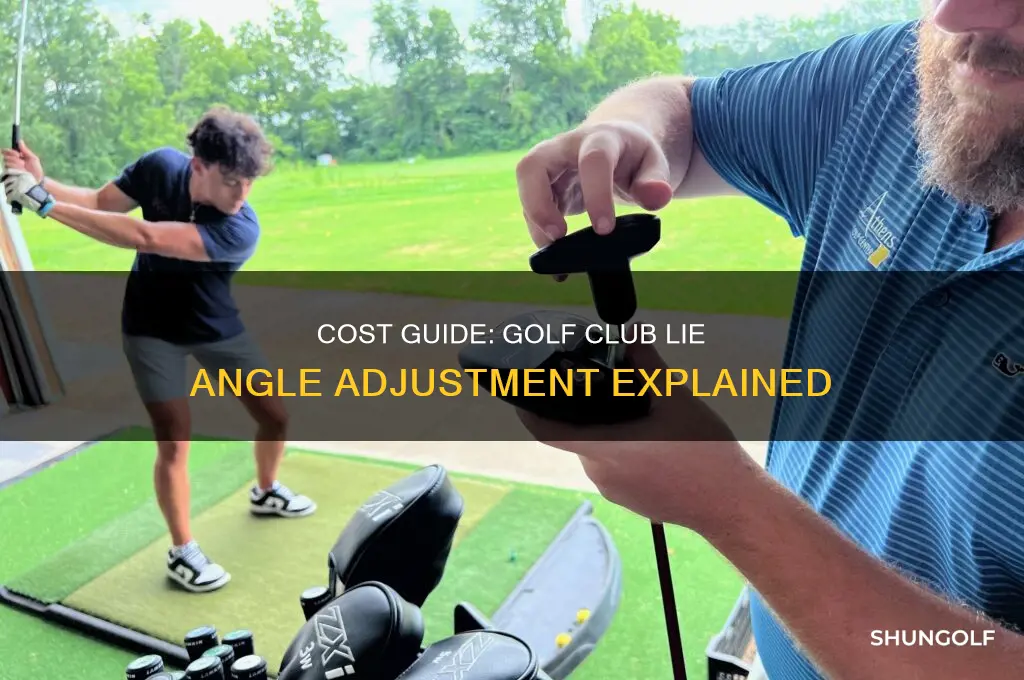 how much to have lie on golf club changed