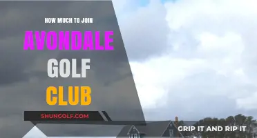 Avondale Golf Club Membership Fees: What You Need to Know