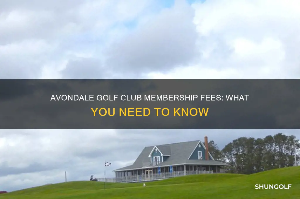 how much to join avondale golf club