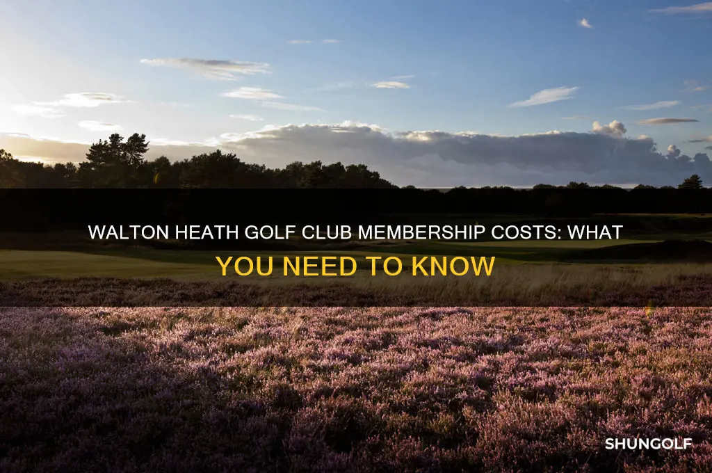 how much to join walton heath golf club