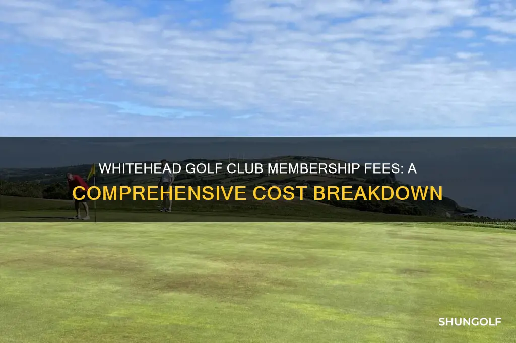 how much to join whitehead golf club