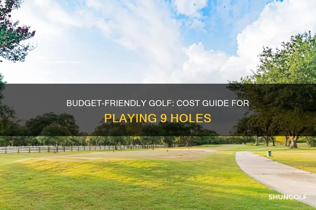 how much to play 9 holes of golf