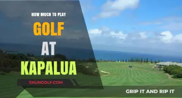 Kapalua Golf Costs: What to Expect for Your Hawaiian Tee Time