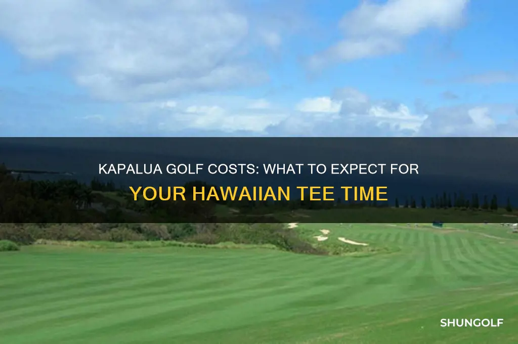 how much to play golf at kapalua