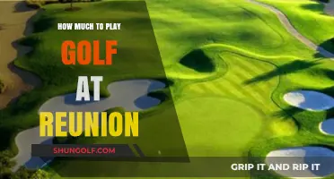 Golfing at Reunion Resort: Cost Breakdown and Budget Tips