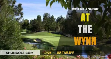 Wynn Golf Course Fees: A Guide to Playing Costs and Value