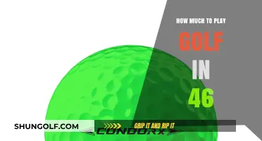Golfing in '46: Uncovering the Cost to Play the Sport