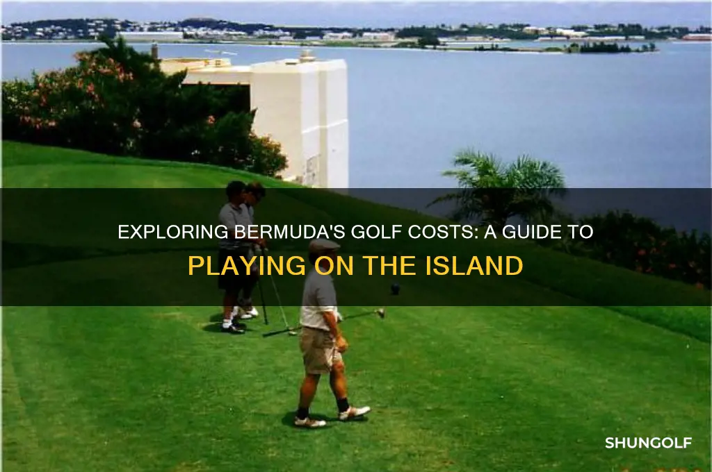 how much to play golf in bermuda