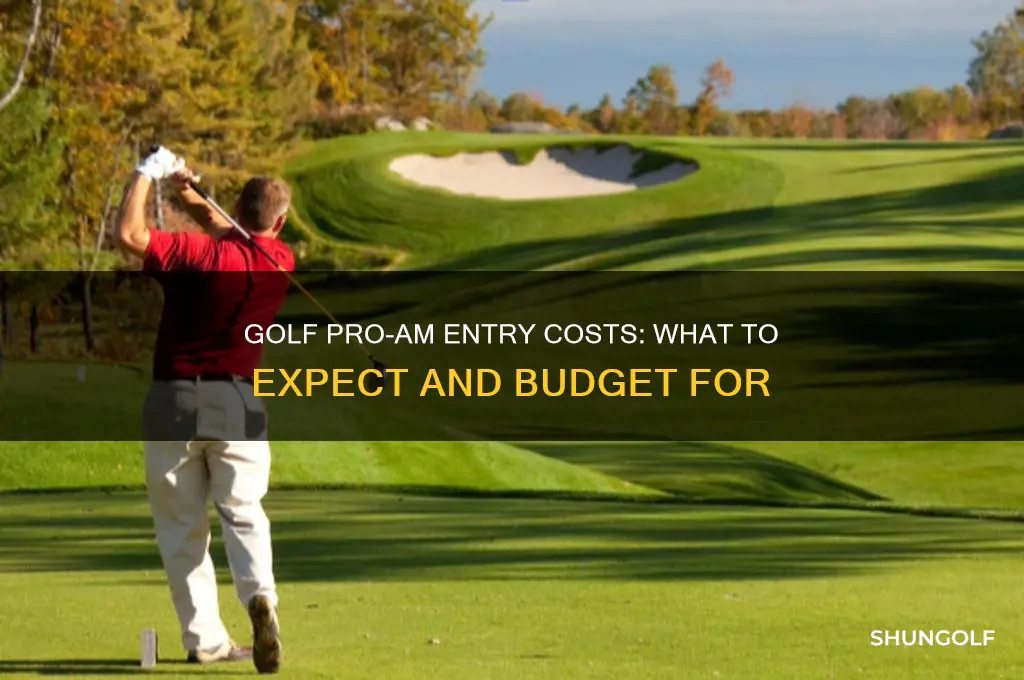 how much to play in golf pro am