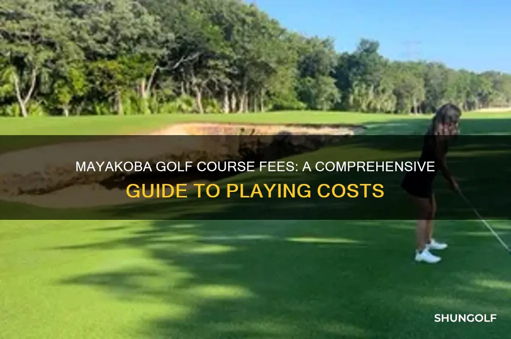 how much to play mayakoba golf