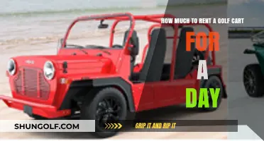 Daily Golf Cart Rental Costs: What to Expect and Budget For