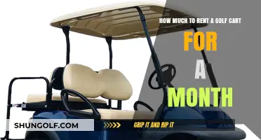 Monthly Golf Cart Rental Costs: What to Expect and Budget For