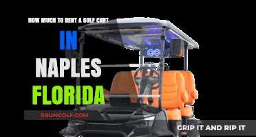 Golf Cart Rental Costs in Naples, Florida: What to Expect