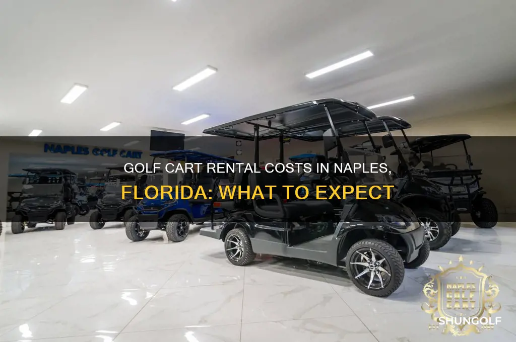 how much to rent a golf cart in naples florida