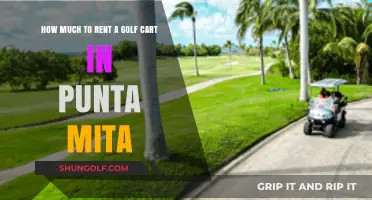 Golf Cart Rental Prices in Punta Mita: What to Expect
