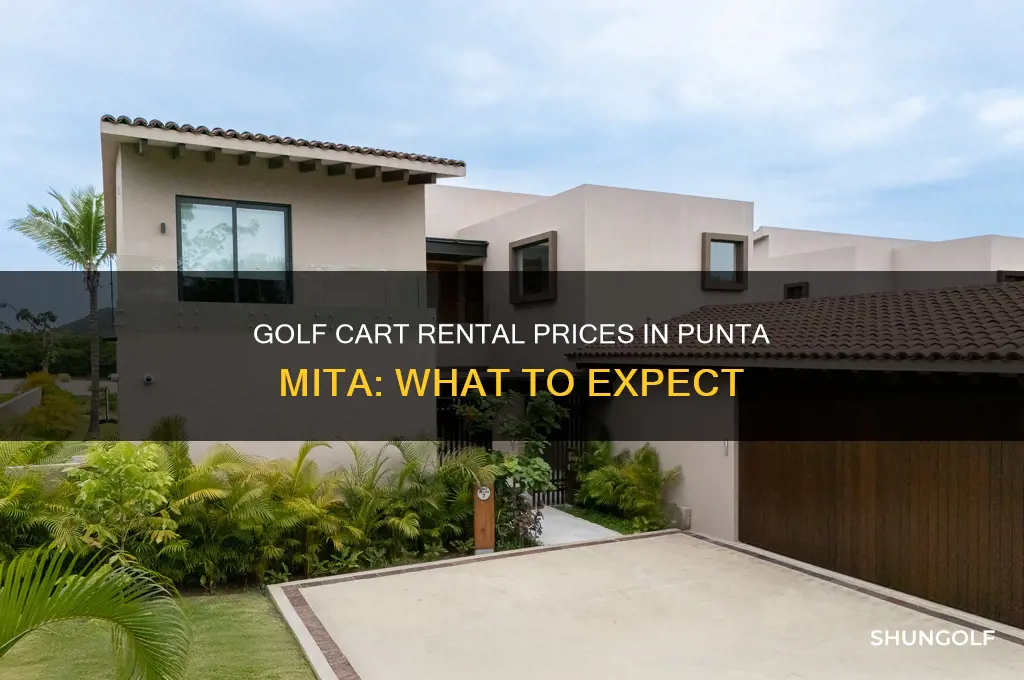 how much to rent a golf cart in punta mita