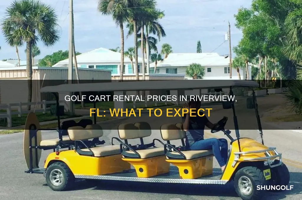 how much to rent a golf cart in riverview fl