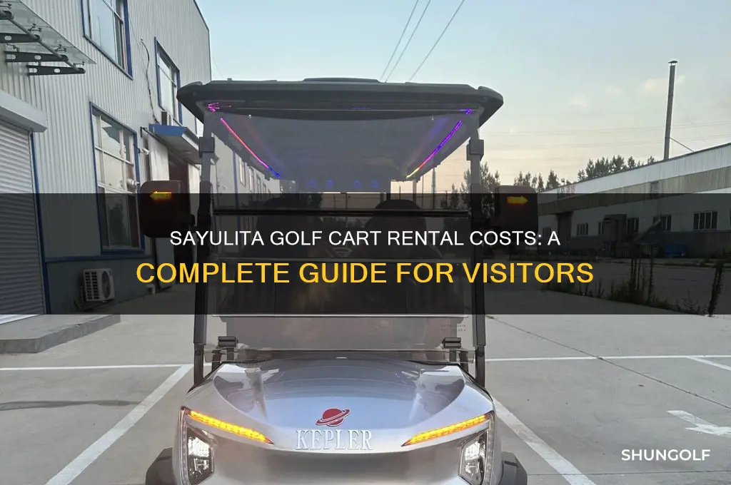 how much to rent a golf cart in sayulita