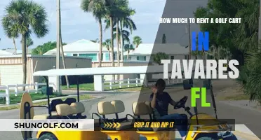 Tavares FL Golf Cart Rental Prices: Your Ultimate Cost Guide