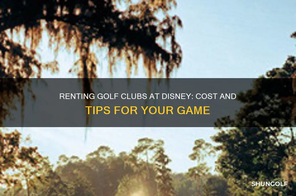 how much to rent golf clubs at disney