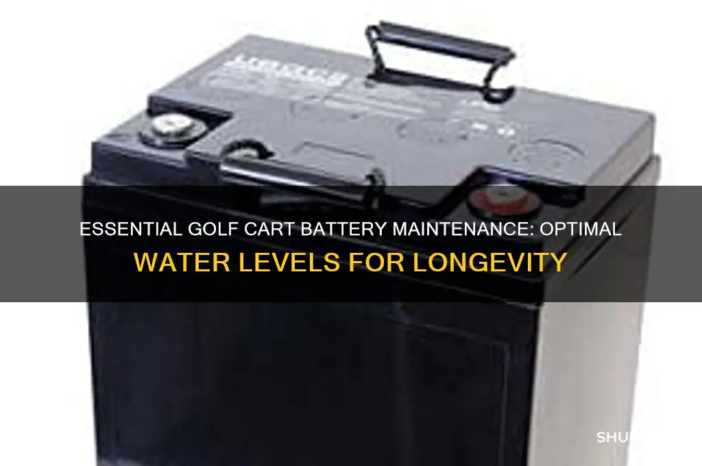 how much water do golf cart batteries need