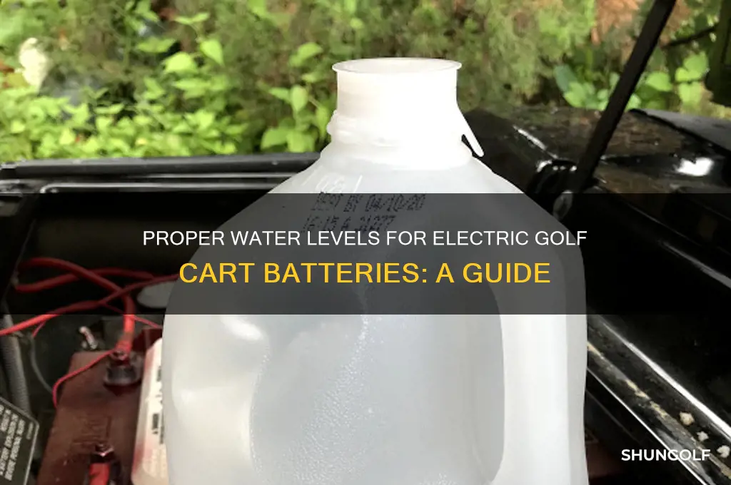 how much water to add to batterieselectric golf cart
