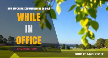 Trump's Golf Expenses: A Costly Presidential Pastime in Office