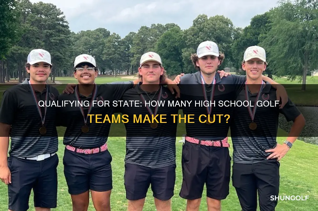 how nany high school golf teams go to state