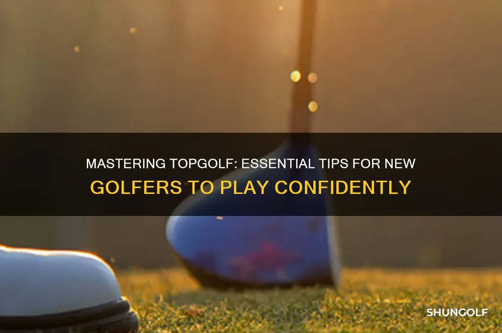 how new golfers can play top golf