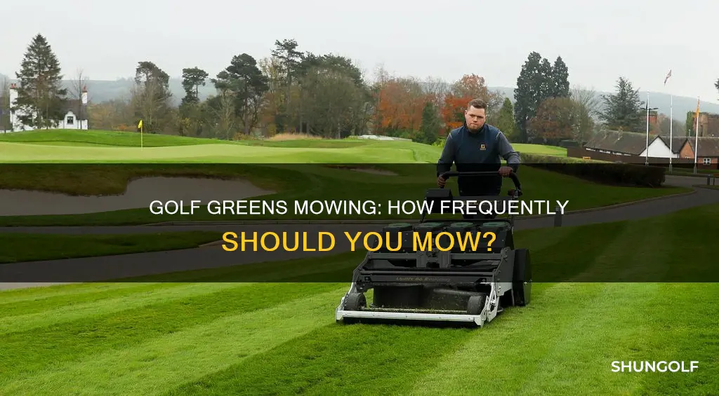 how often are golf greens mowed