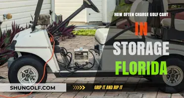 Florida Golf Cart Storage: Optimal Charging Frequency Guide