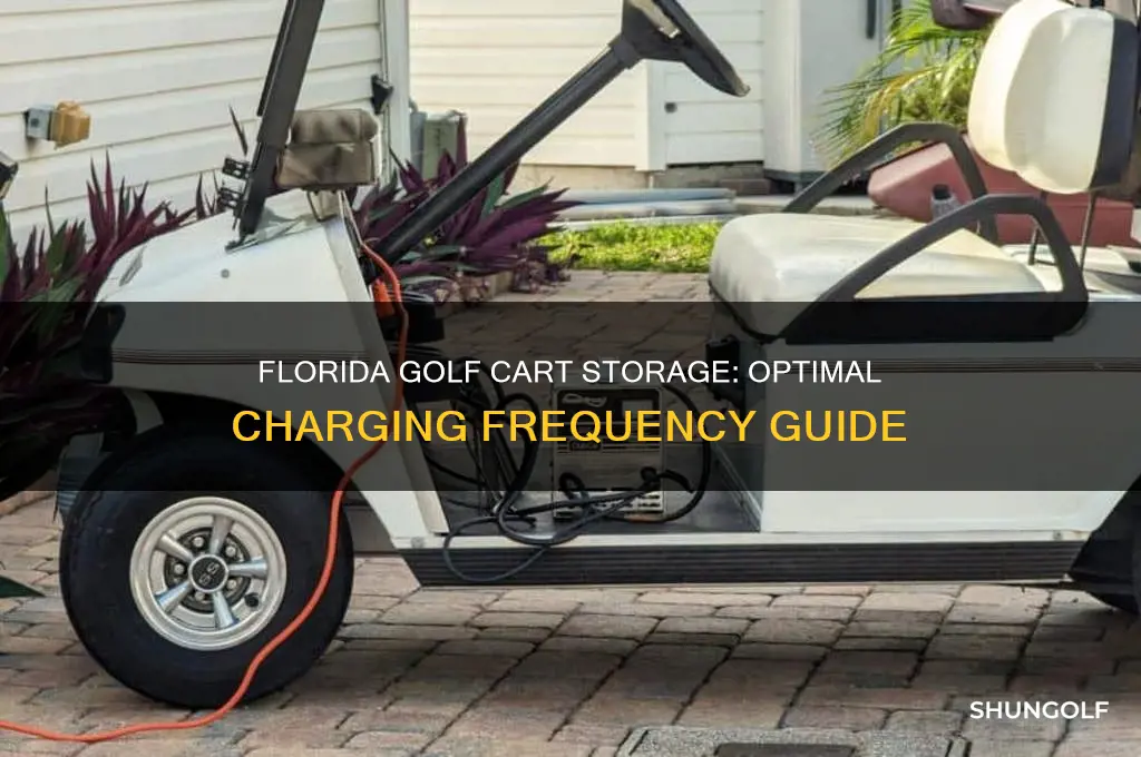 how often charge golf cart in storage florida