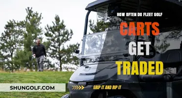 Fleet Golf Cart Trade Frequency: How Often Are They Replaced?