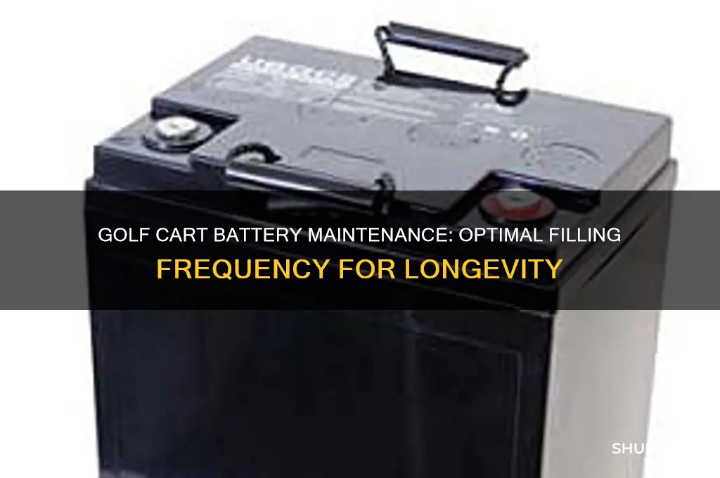 how often do you need to fill golf cart batteries