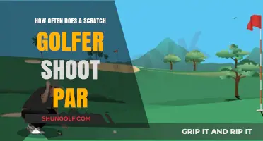 Scratch Golfer Par Frequency: How Often Do They Shoot Even?