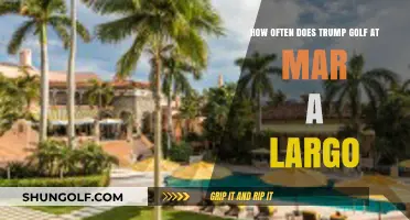 Trump's Mar-a-Lago Golf Frequency: How Often Does He Play?