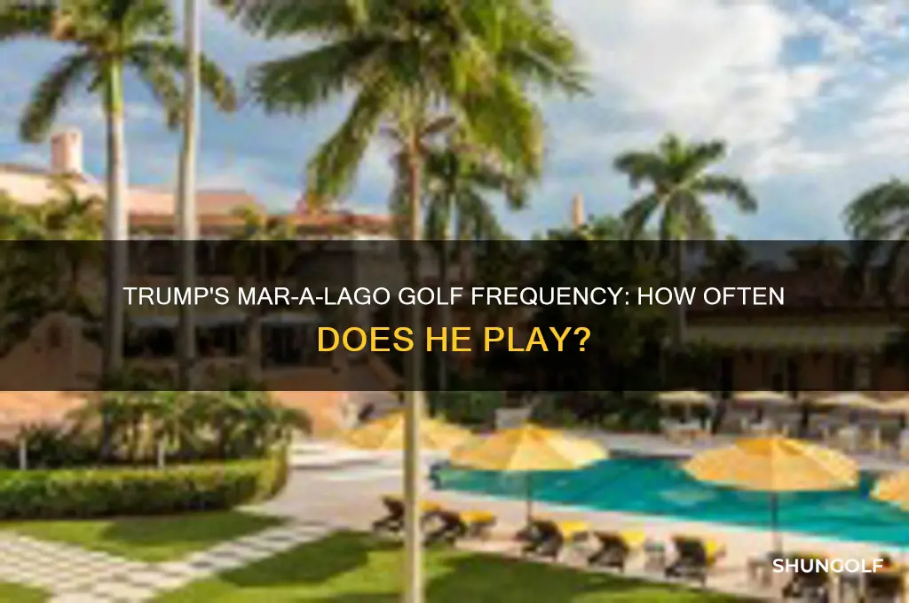 how often does trump golf at mar a largo