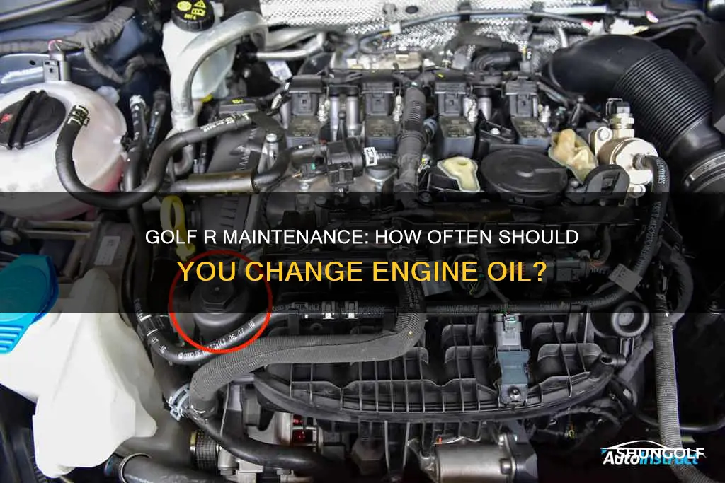 how often oil change golf r