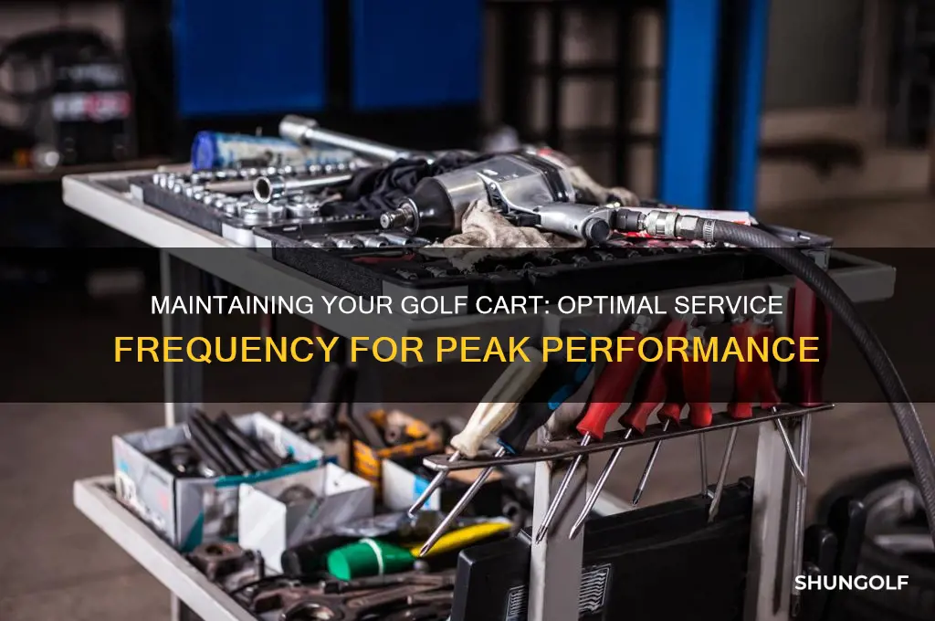 how often should a golf cart be serviced