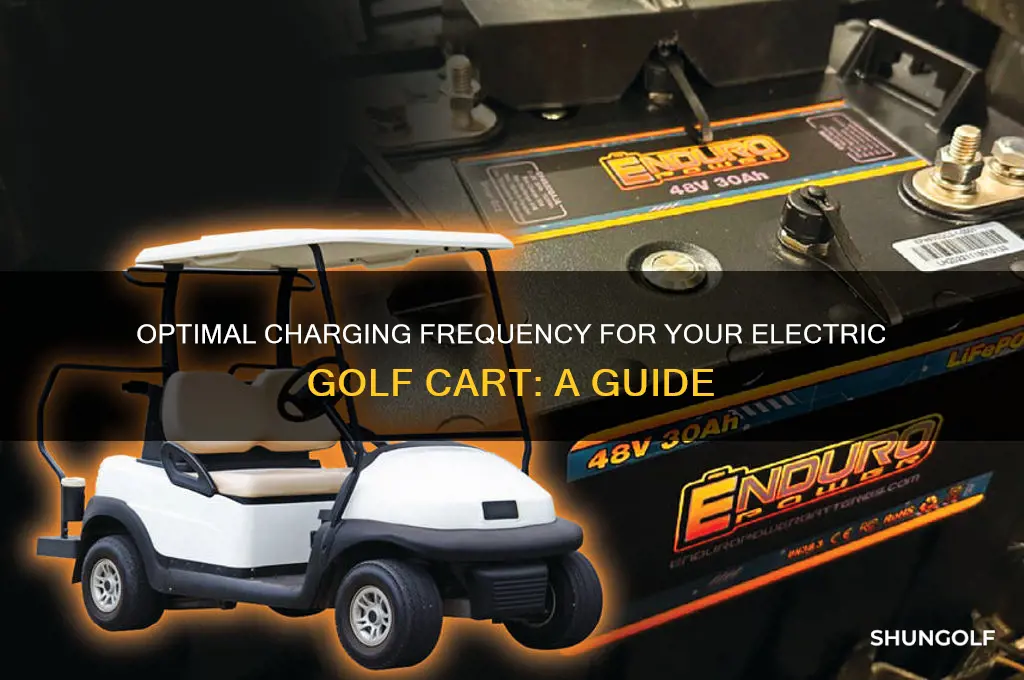 how often should i charge my electric golf cart
