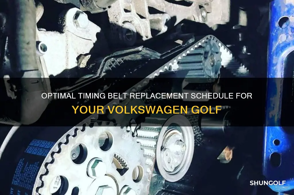 how often should you change timing belt on golf