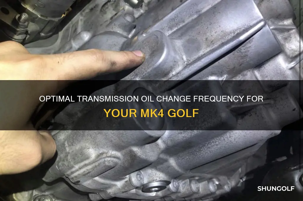 how often should you change your transmission oil mk4 golf