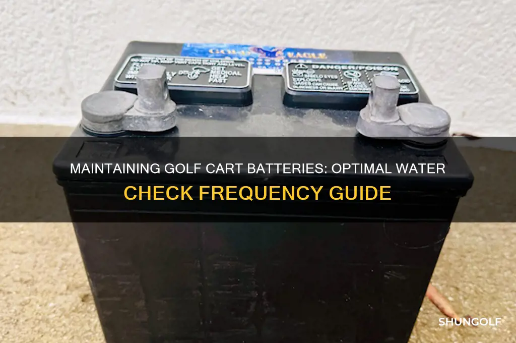 how often should you check water in golf cart batteries