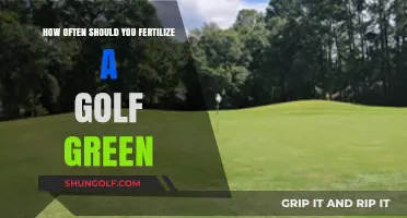 Optimal Fertilization Frequency for Maintaining Healthy Golf Greens