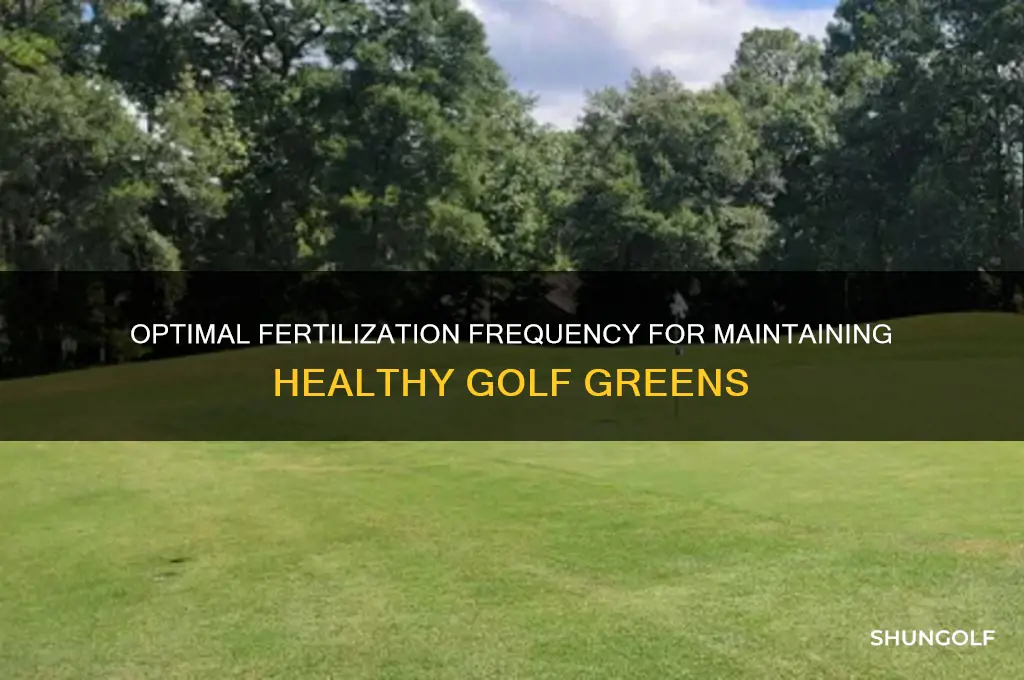 how often should you fertilize a golf green